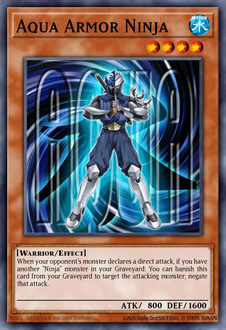 Aqua Armor Ninja