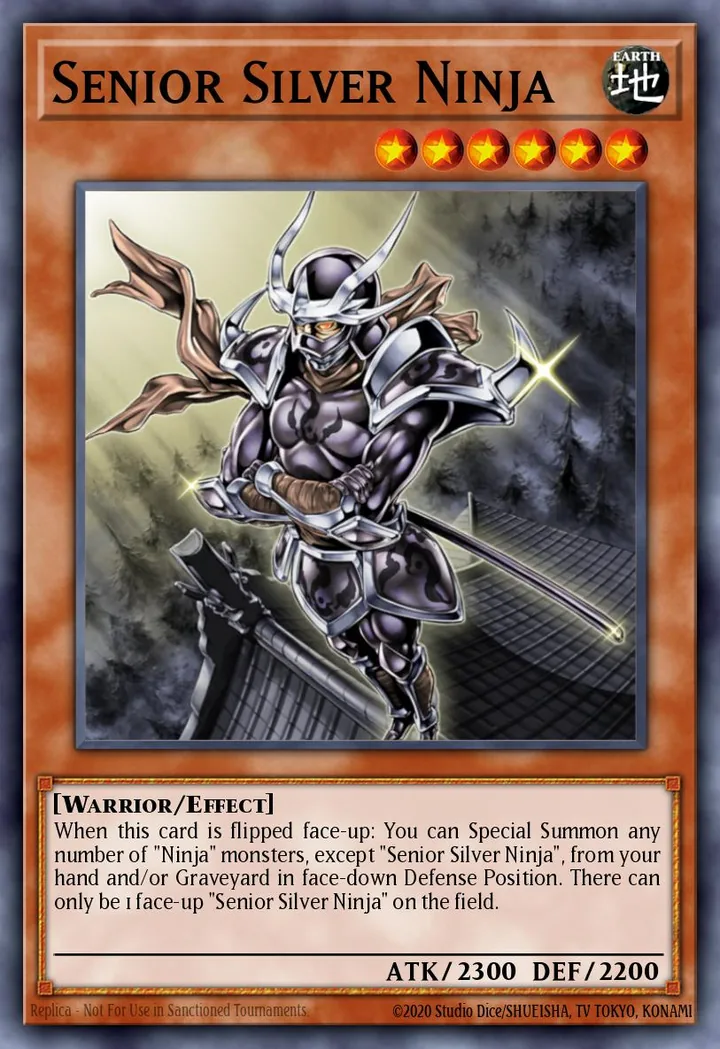 Senior Silver Ninja