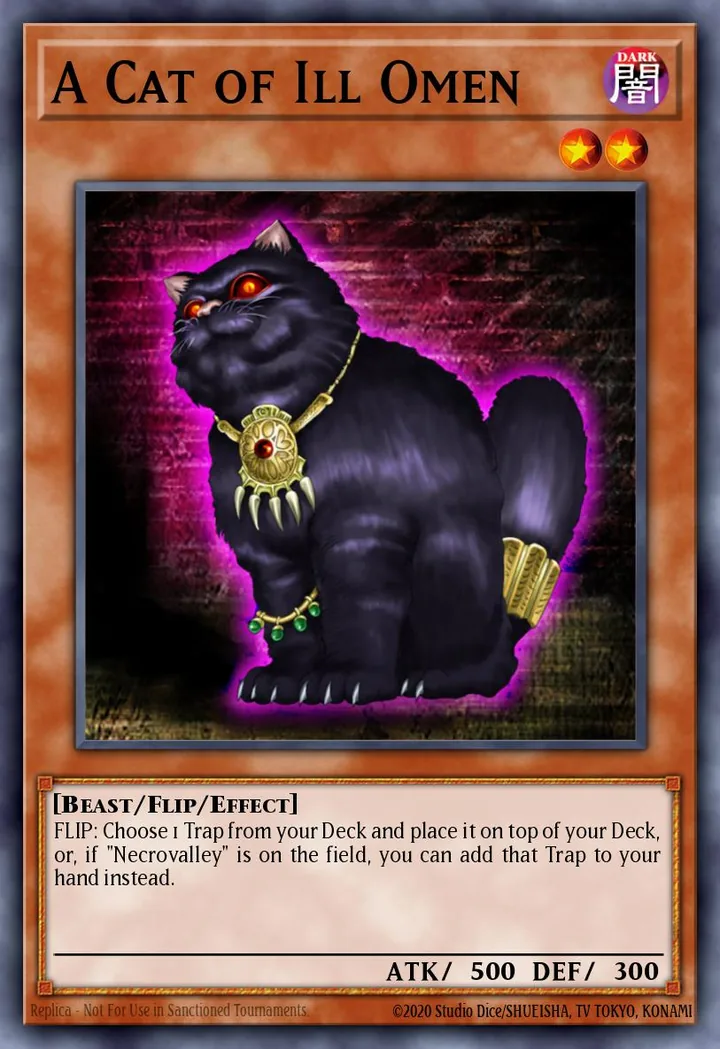 A Cat of Ill Omen